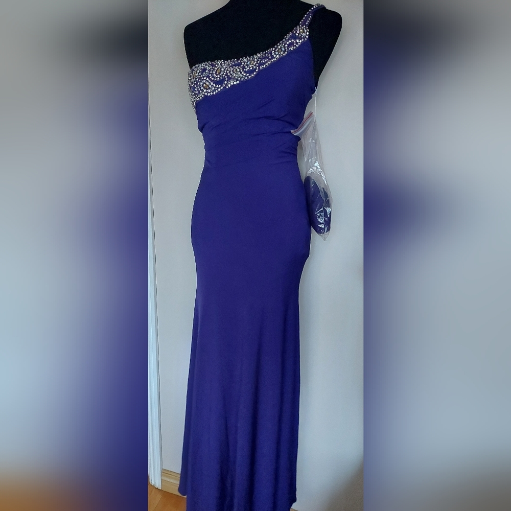 Terani Couture Purple Beaded Evening Gown One Shoulder and Shawl Size 2